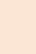 FARROW AND BALL RINGWOLD GROUND NO. 208 PAINT